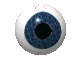 an animated eyeball